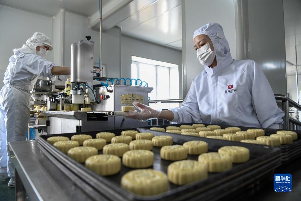 摇钱树捕鱼app下载
